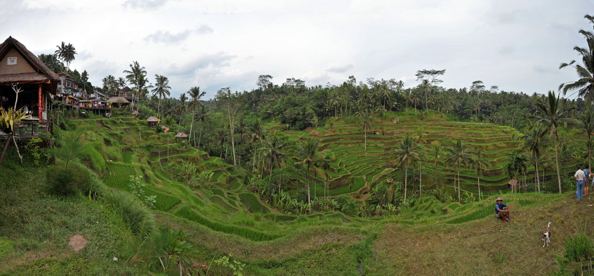 Private transfer journey through Bali